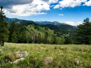 Wine Top by Ruidoso Vacation Rentals