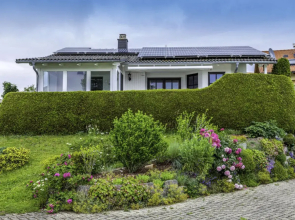 House Nest Dittishausen