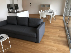 Brissago Vista Lago 1