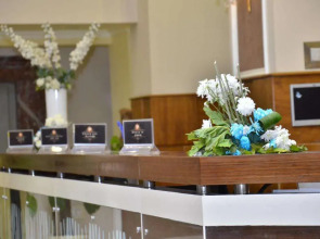 paradise home city stars