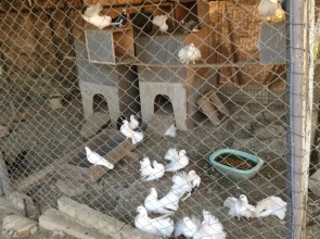 Raysky Ugolok Guest House