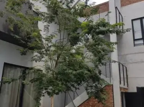 Villa Lot 1638