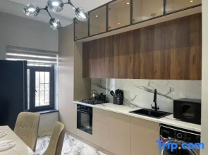 Apartment in the center of Tashkent 21