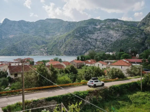 White Shutters House