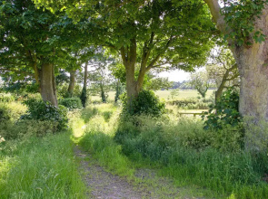 Harrowby Cottage