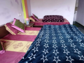 Pine Tree Homestay