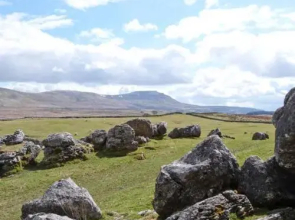 Harber Scar
