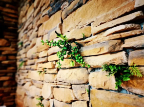 Bluewater Hotel Taoyuan Airport MRT A18 HSR