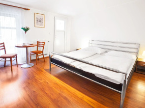 Apartment House Zizkov