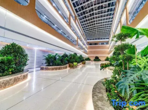 Bright Future International Hotel
