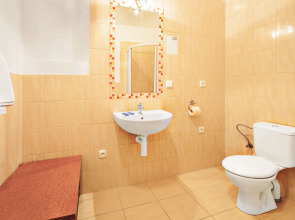 Apartment House Zizkov