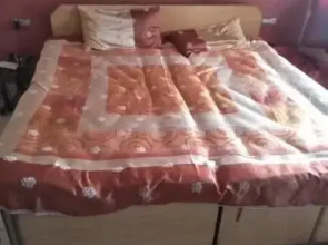 Mohit guest house