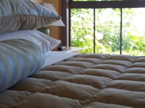 Hawkdun Rise Vineyard & Accommodation