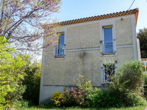 Une Cigale en Provence