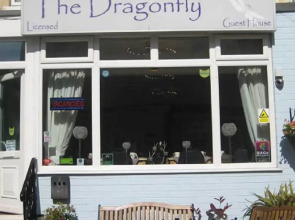 The Dragonfly