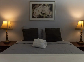 Updated and Clean 2-bedroom in San Jose