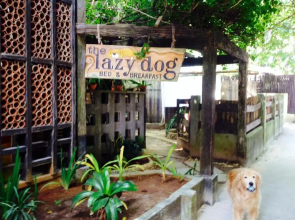 The Lazy Dog Bed & Breakfast