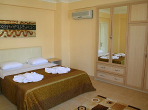 Dream Of Holiday Star