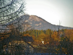 Apartment Bad Reichenhall