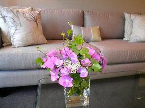 Firth Street Mews B&B