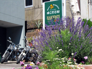 B&B Pension Hakodate Mura