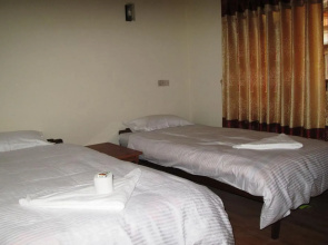 Hotel Green Orchid