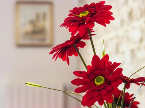 Sant'Andrea Apartment