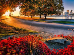 MARY's COZY Room Near YVR UBC DOWNTOWN