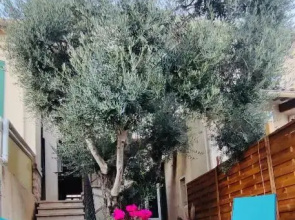 Le Jardin Arlésien