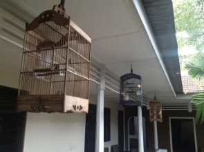 OYO 2953 Borobudur Guest House Near RSUD Kota Yogyakarta