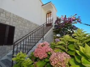 Apartment Vesna Okrug Gornji / Two Bedroom A1