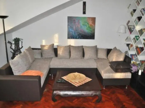 Apartment Viki