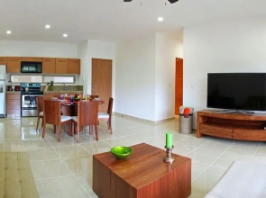 星空森林酒店(Star Forest)