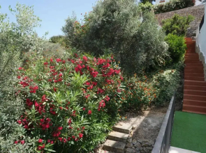 Casa Iris