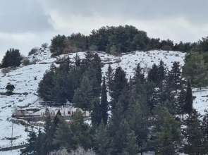 ''Prasini Folia'' Apartments - Apartment ''IDA''