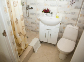Rent of Apartments in Kharkiv