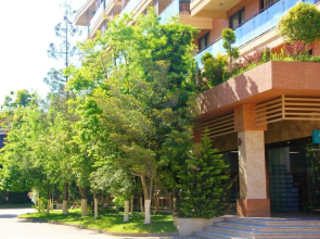 Hotel Dreamland Oasis