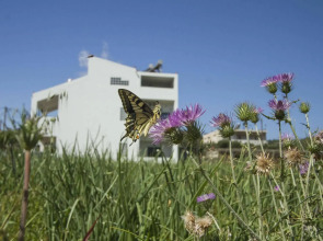 Olive Tree Apartments