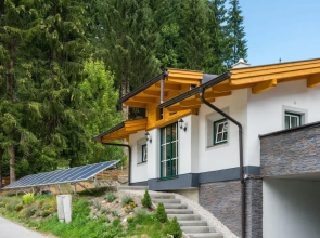 Cozy Chalet in Saalbach-hinterglemm near Ski Area