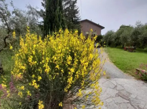 Agriturismo Campo Contile