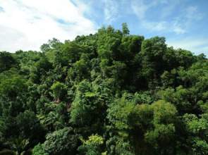 Hotel Shangri-La Kota Kinabalu