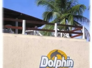 Dolphin Pousada Gasthaus