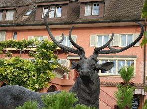Landhotel Hirschen