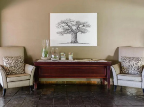 Mongena Game Lodge