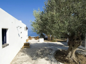 L' Ulivo Di Pollara