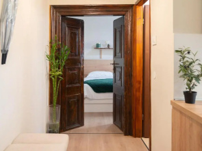 City Center Studio For Humans and Pets