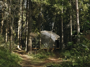 Вили Улей Карелия