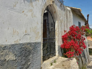 Golden fox Villa