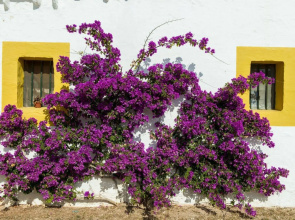 Finca Reserva de la Biosfera
