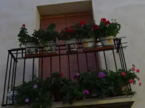 Casa Rural Francisca